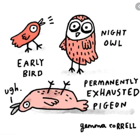 early bird night owl working with your body clock